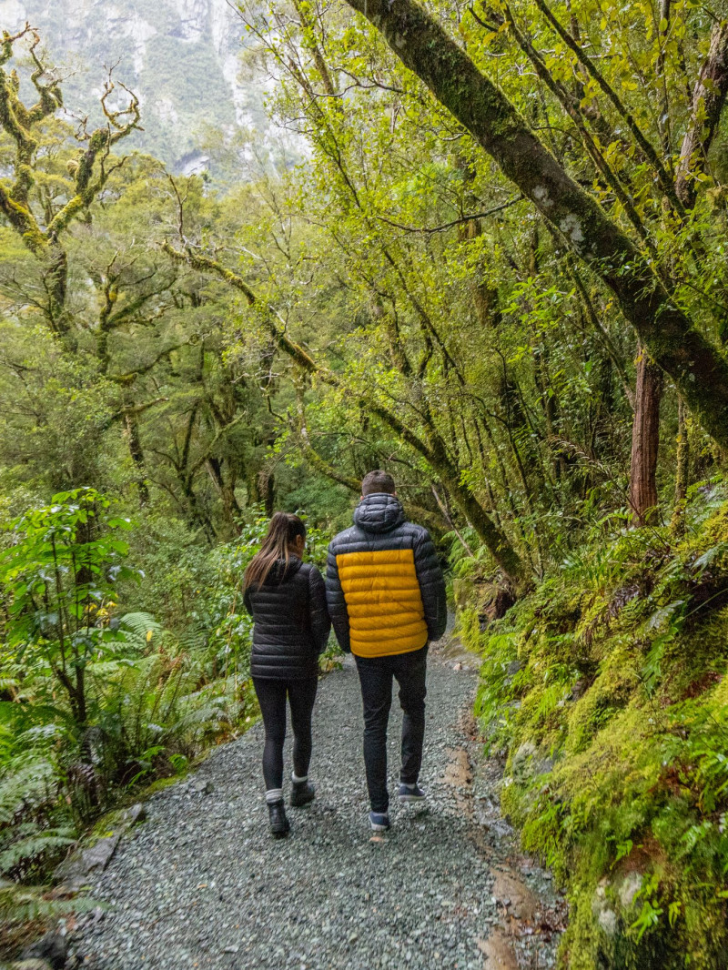 Altitude Tours - Small Group Milford Sound Experience 3