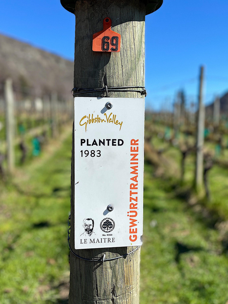 Altitude Tours - Wine Tour Queenstown 6