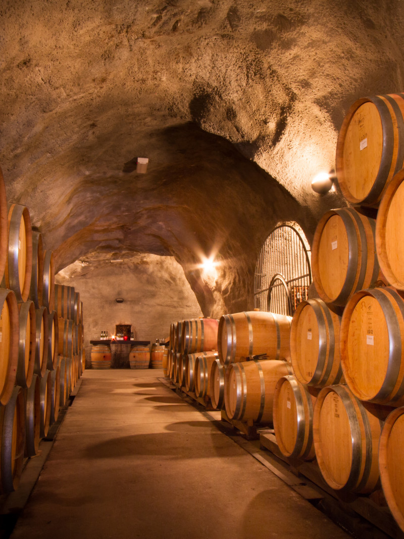 Altitude Tours - Wine Tour Queenstown 5