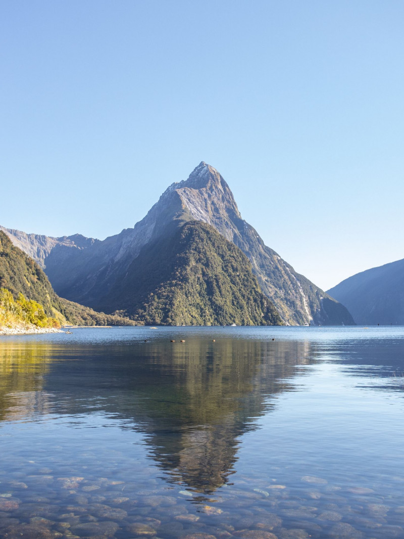 Altitude Tours - Small Group Milford Sound Experience 5