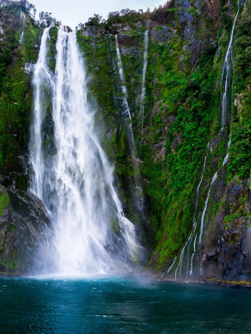 Altitude Tours - Small Group Milford Sound Experience 11