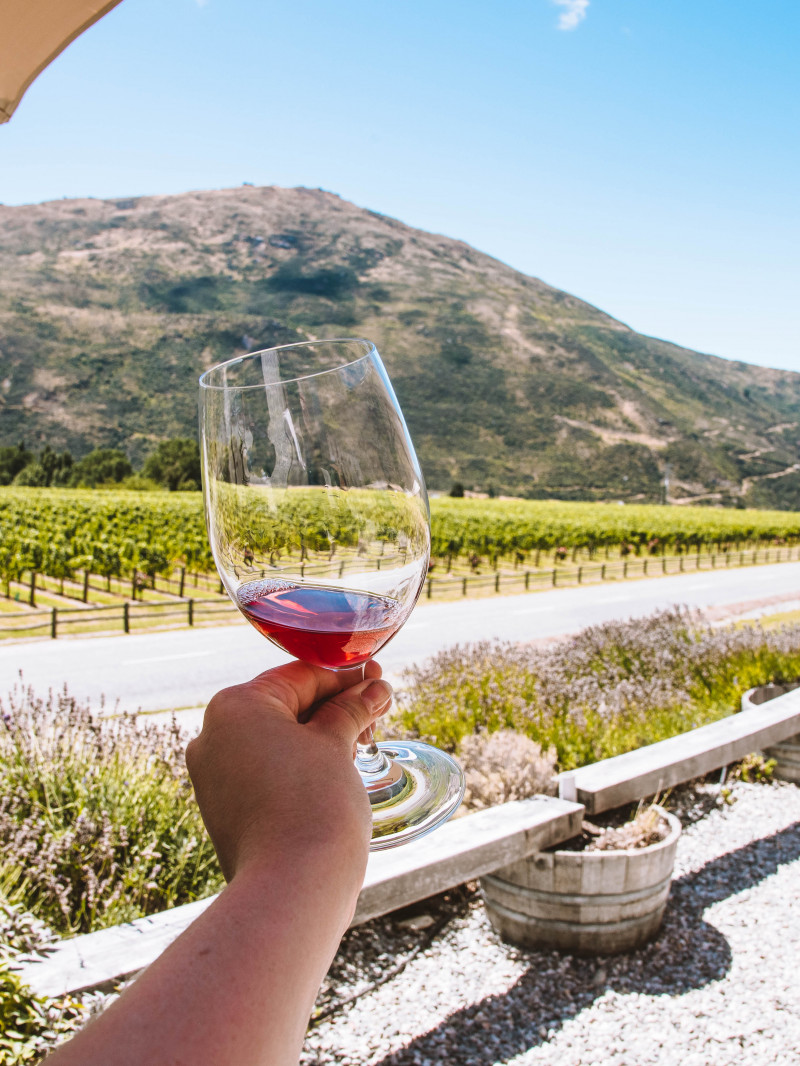 Altitude Tours - Wine Tour Queenstown 10