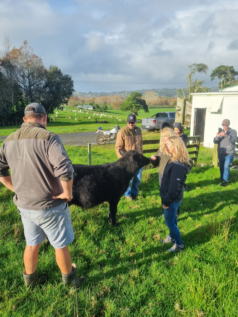 Auckland and Beyond Tours - Private Tours 4