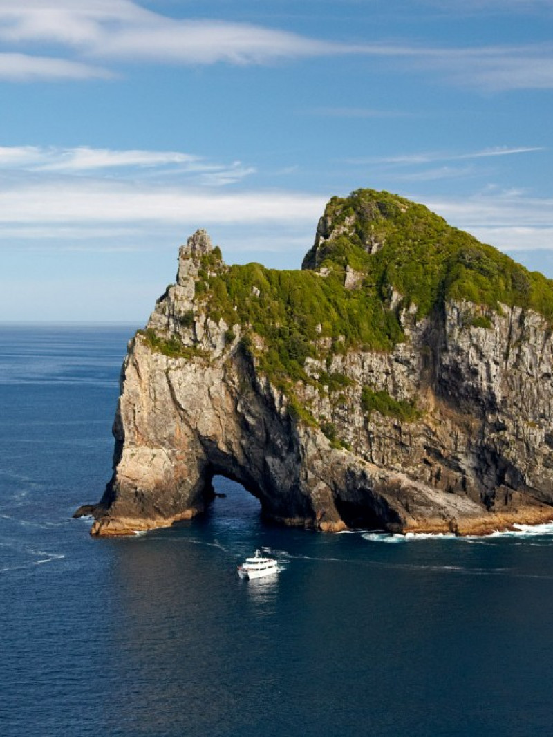 Auckland and Beyond Tours - Private Tours 5