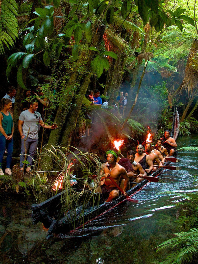 Auckland and Beyond Tours - Private Tours 15