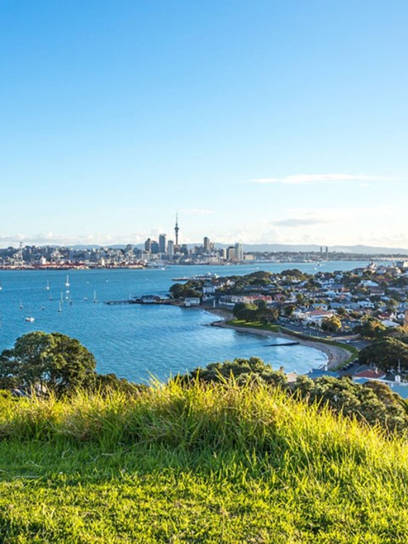 Auckland and Beyond Tours - Private Tours 10