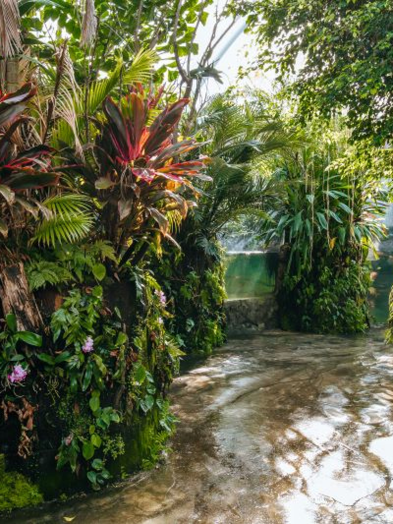 Auckland Zoo Come and Discover 2