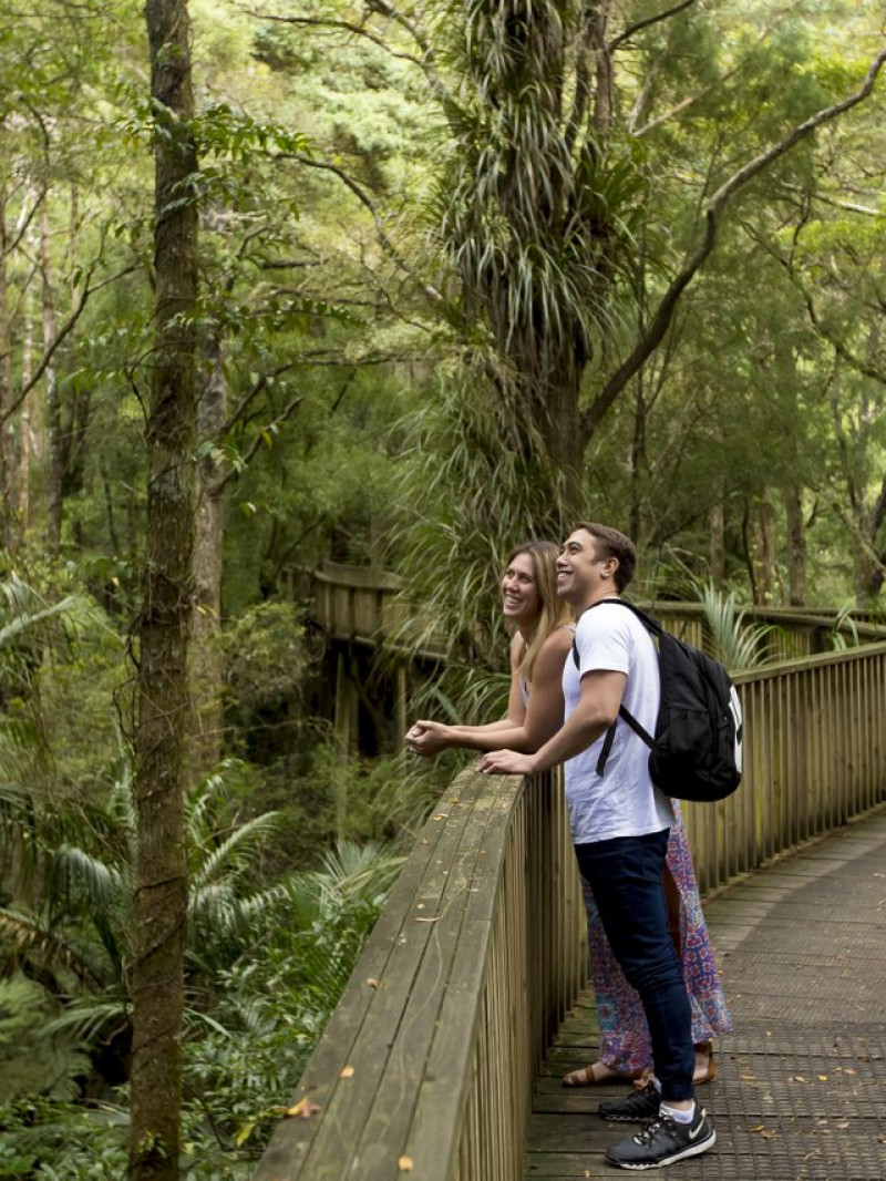 Whangarei "Love It Here" Visitor Guide 8