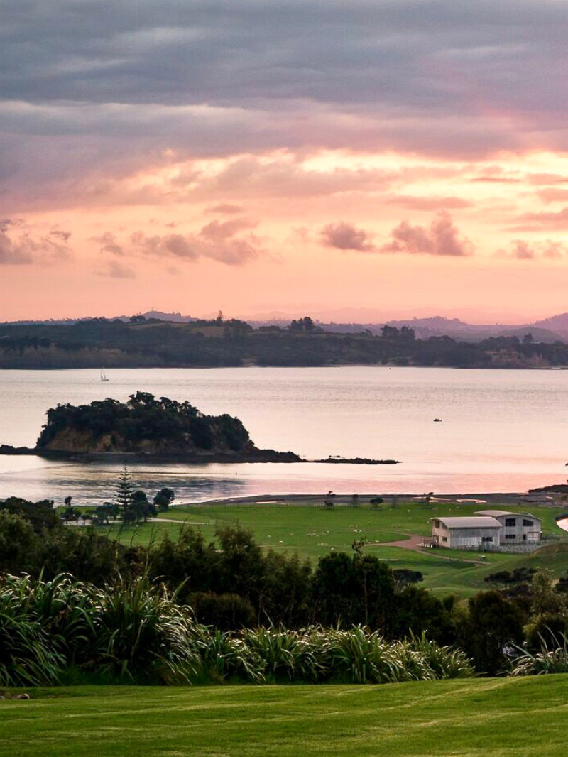 Cable Bay Vineyards | Waiheke Island, Dining & Wine Tasting  6