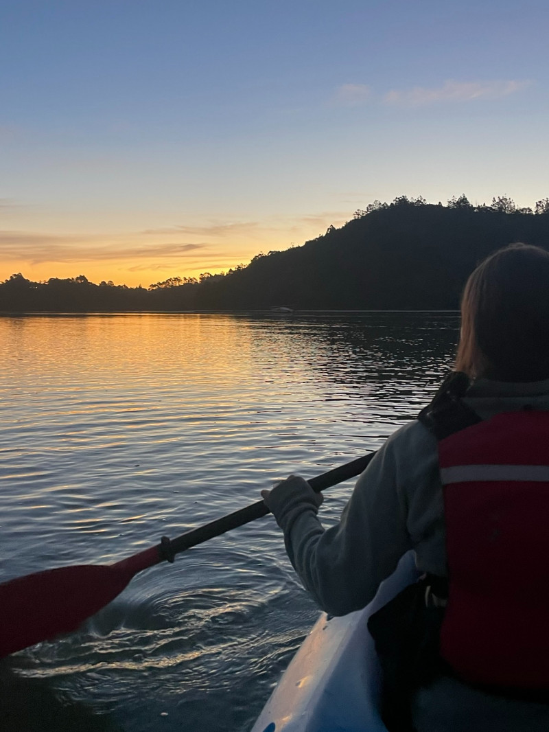 Auckland Bioluminescence Kayak Tour  3