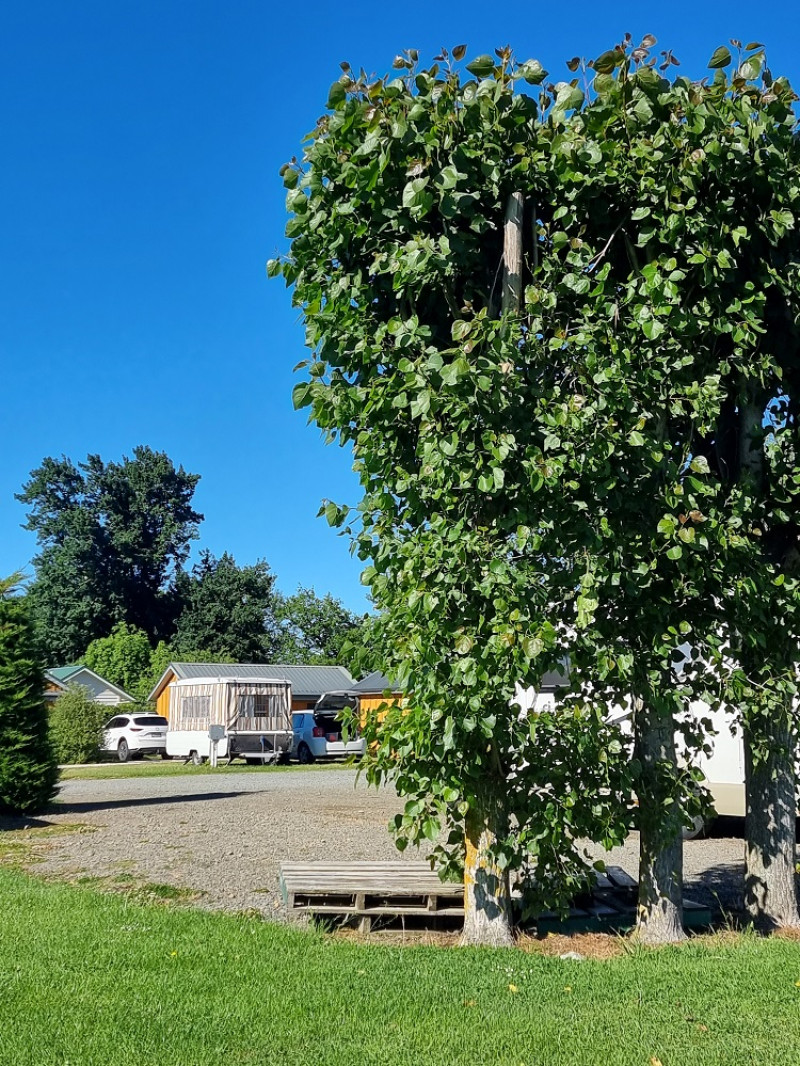 Cheviot Motels, Cabins and Camp 1