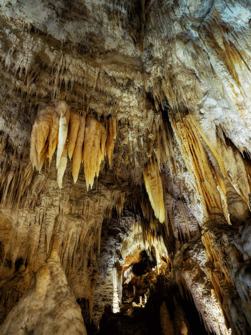 Hobbiton & Waitomo Glowworm Caves Tour from Auckland 4
