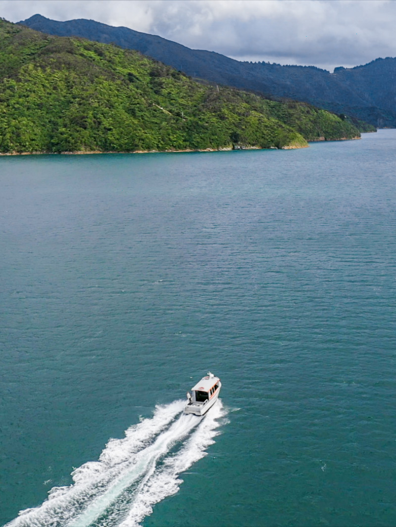 Marlborough Official Visitor Guide  1