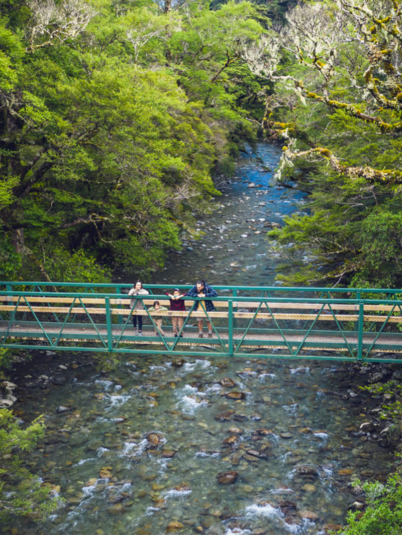 Wairarapa Visitor Guide 4