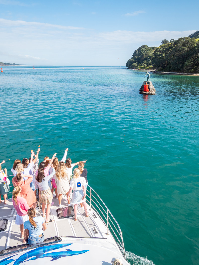 Wild Dolphin Encounter 4