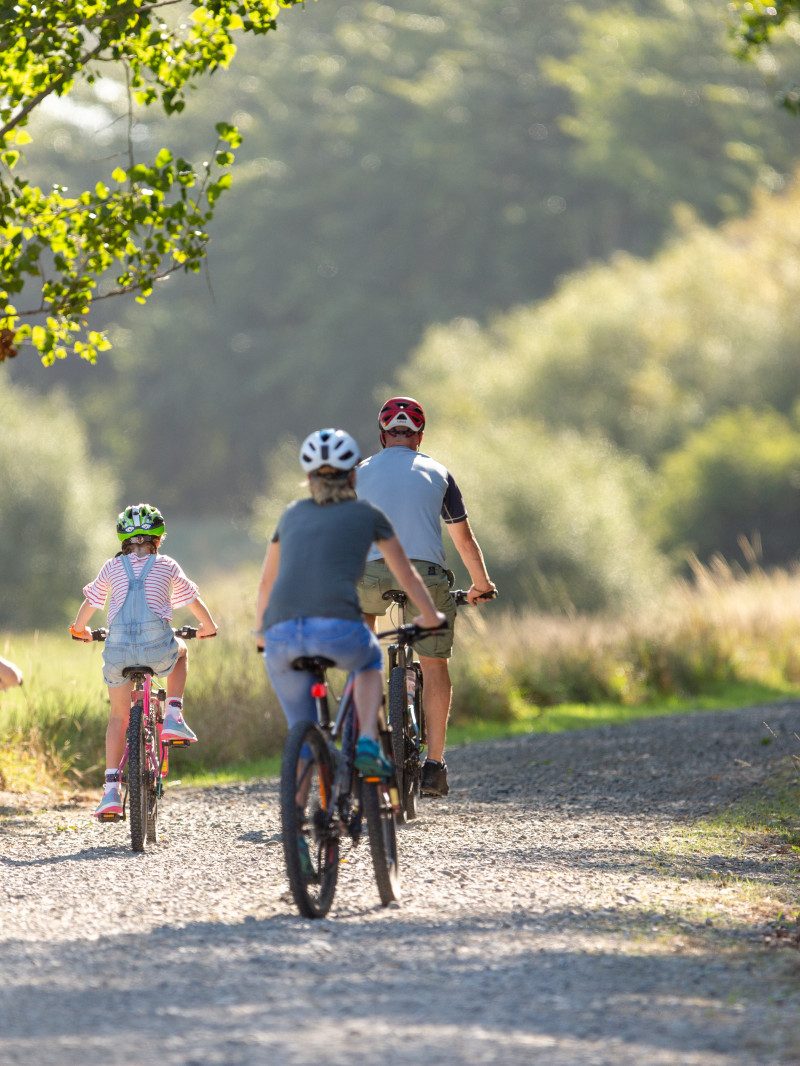 Visit Waimakariri Official Visitor Guide 3