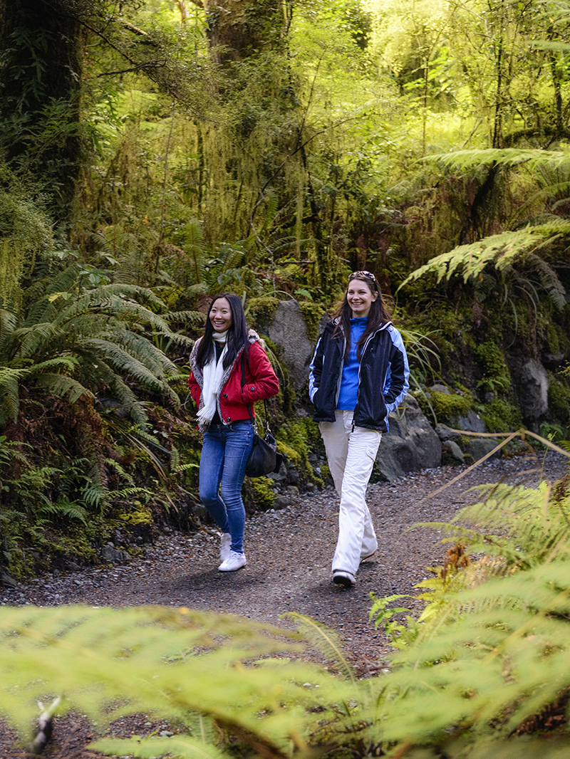 Milford Sound Day Tours 4