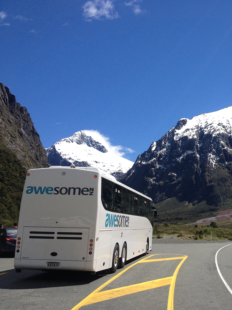 Milford Sound Day Tours 5