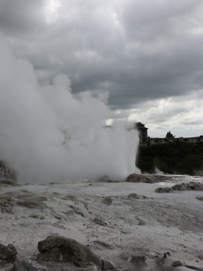 Hobbiton Tours from Auckland and Rotorua 6