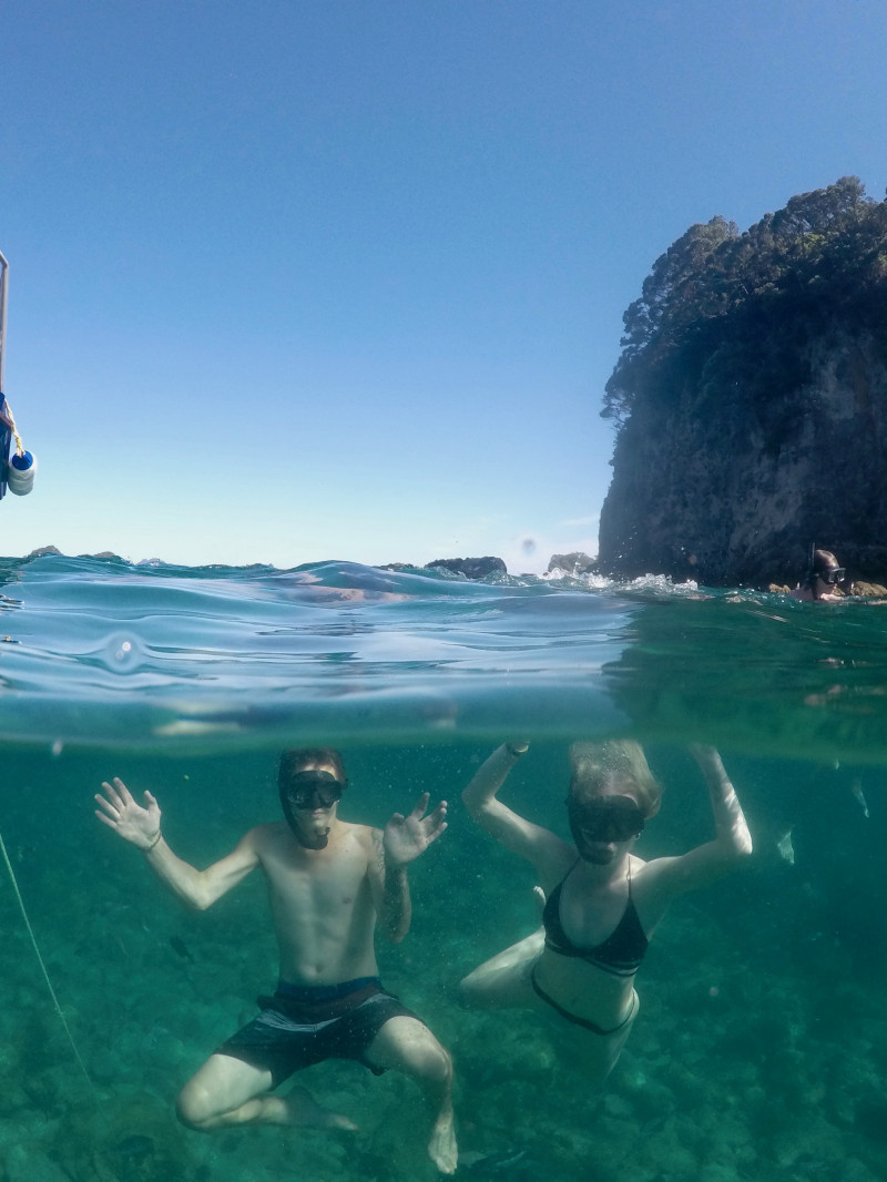 Glass Bottom Boat Whitianga 2