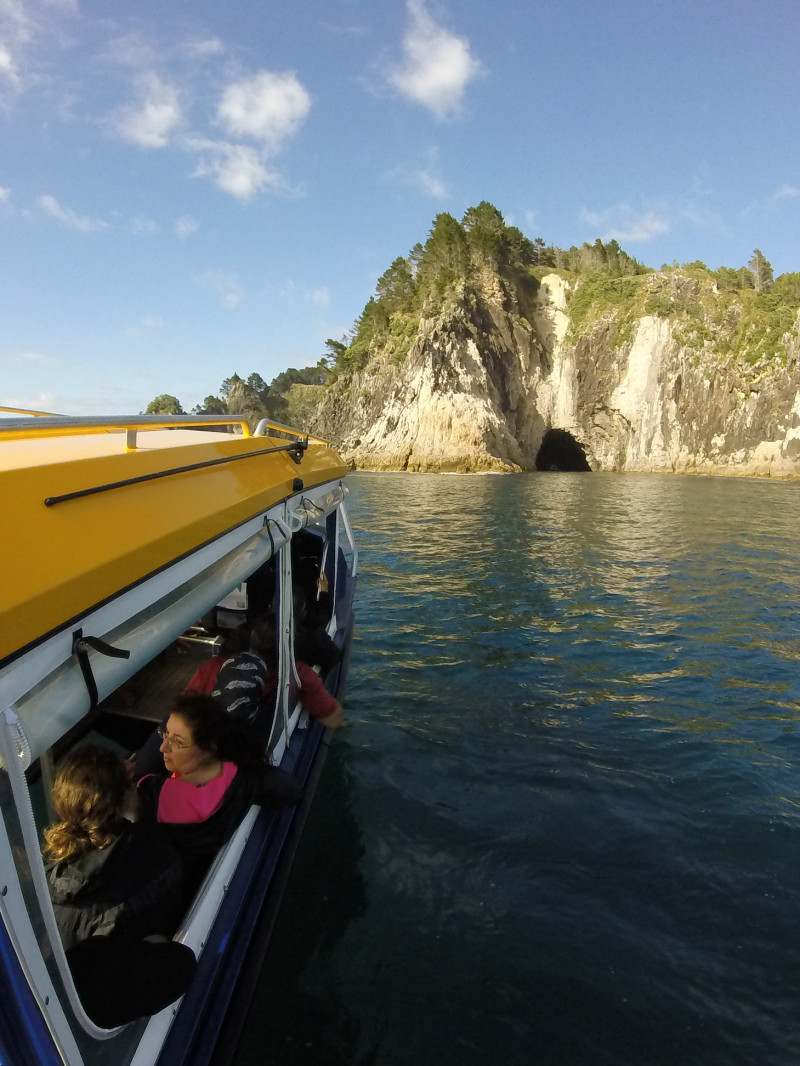 Glass Bottom Boat Whitianga 3