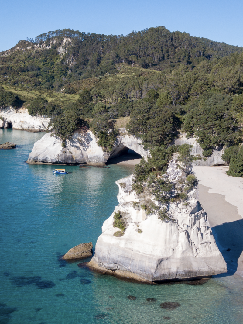 Glass Bottom Boat Whitianga 4