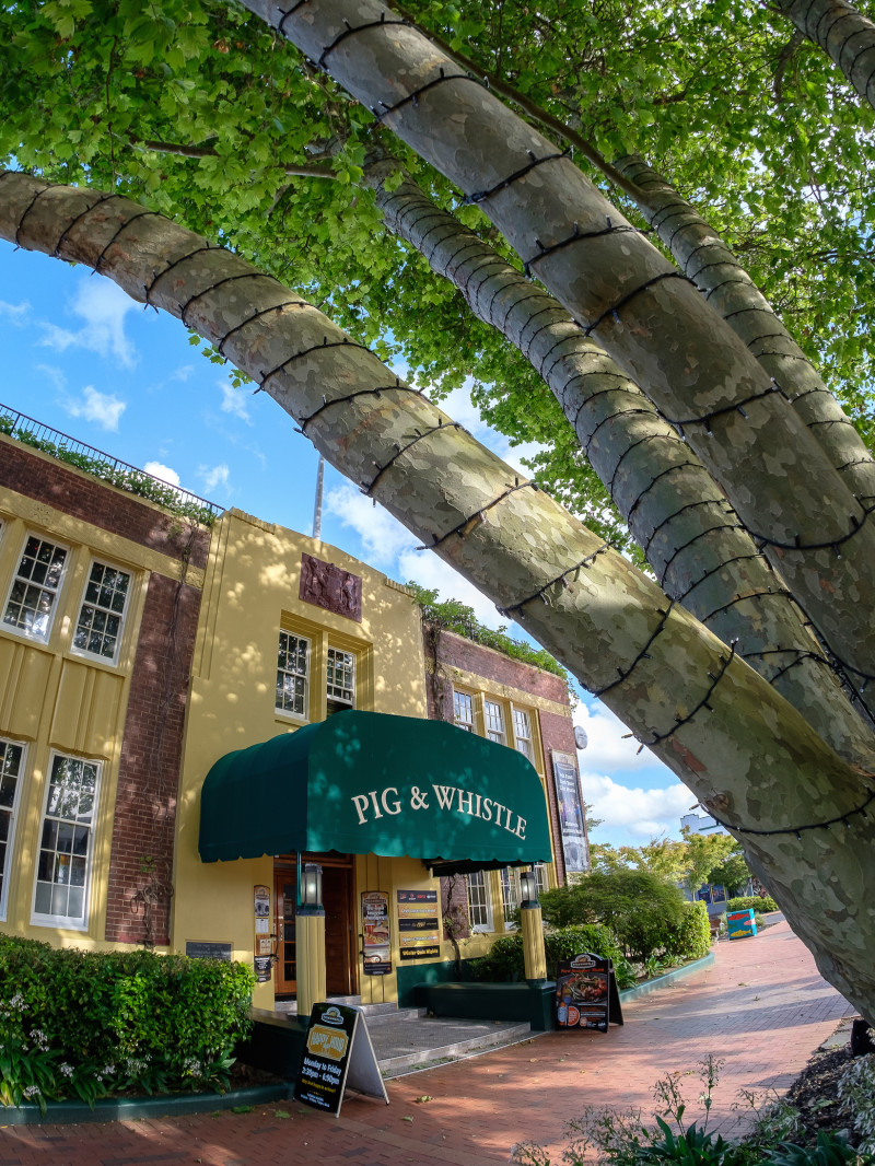 Pig & Whistle 6