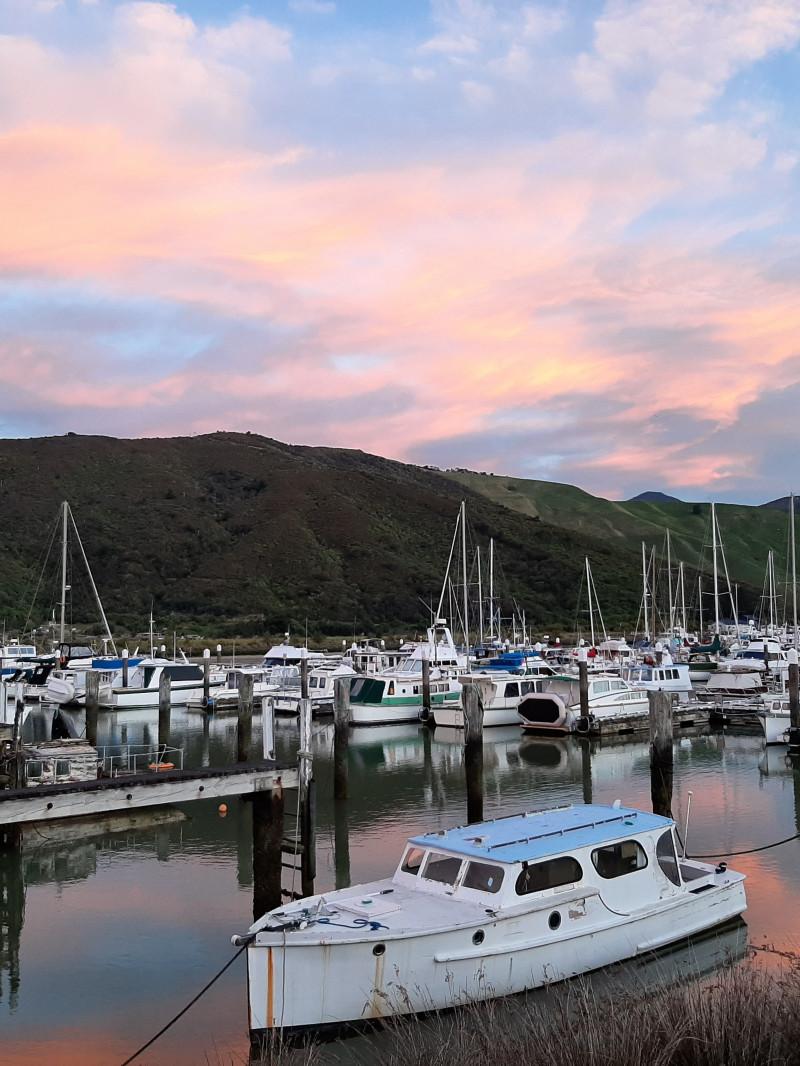 Havelock Holiday Park 6