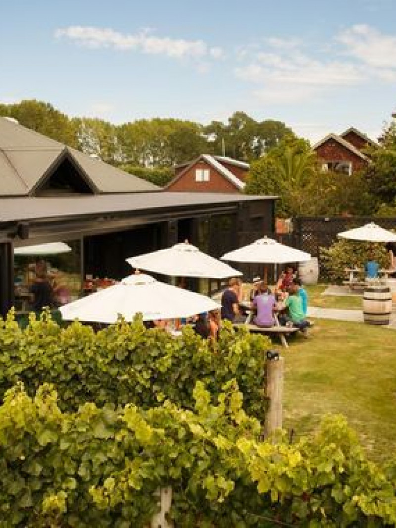 Marlborough Hop on Hop off Wine Tours 1