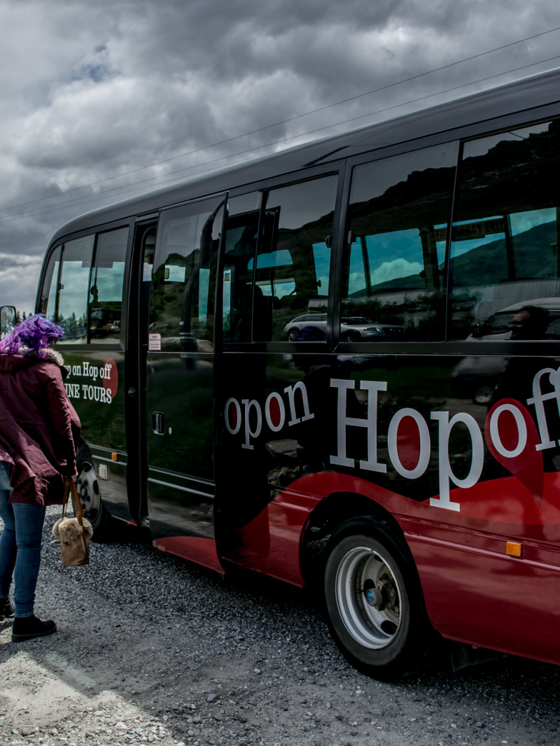 Marlborough Hop on Hop off Wine Tours 3