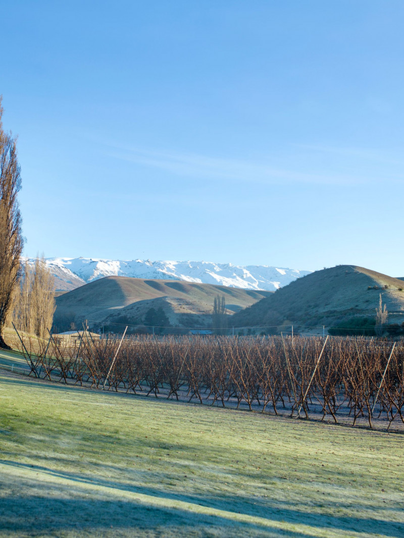 Jackson Orchards - Guided Orchard Tour 5