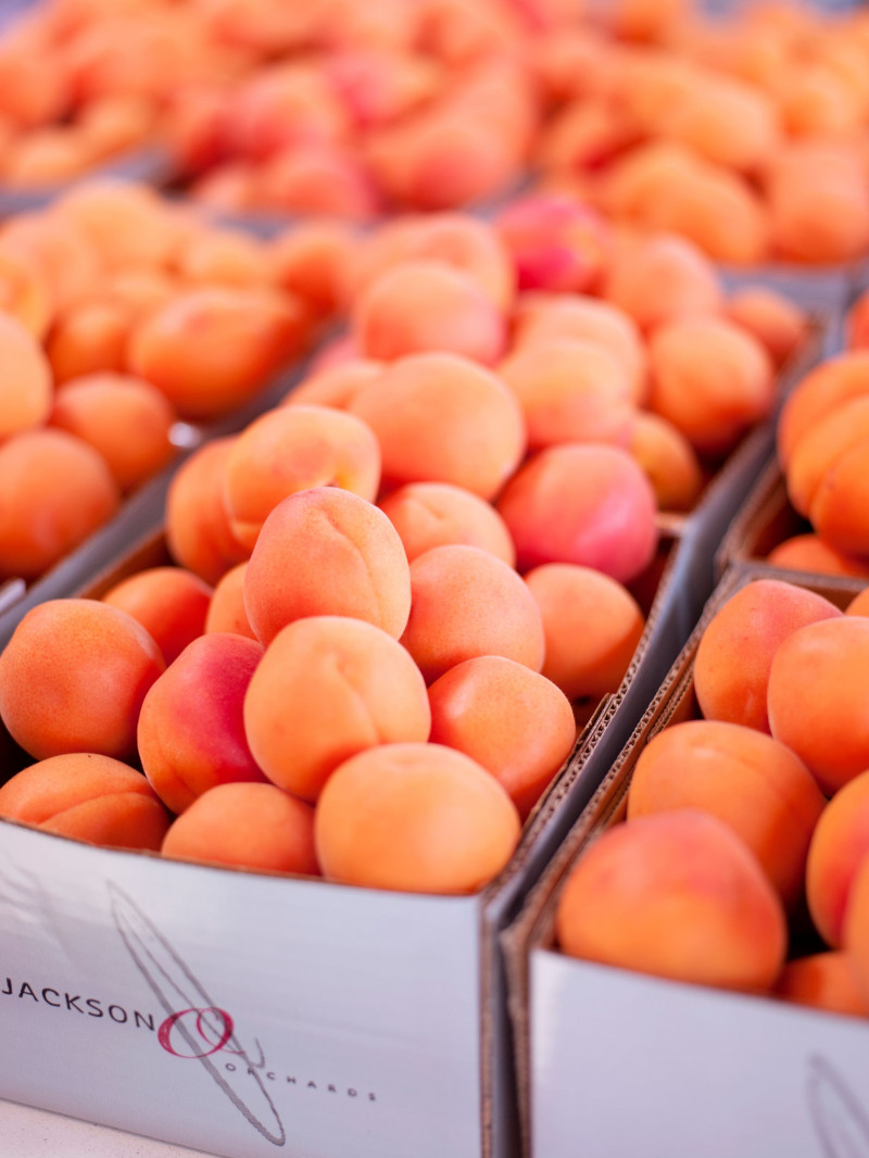 Jackson Orchards - Guided Orchard Tour 19