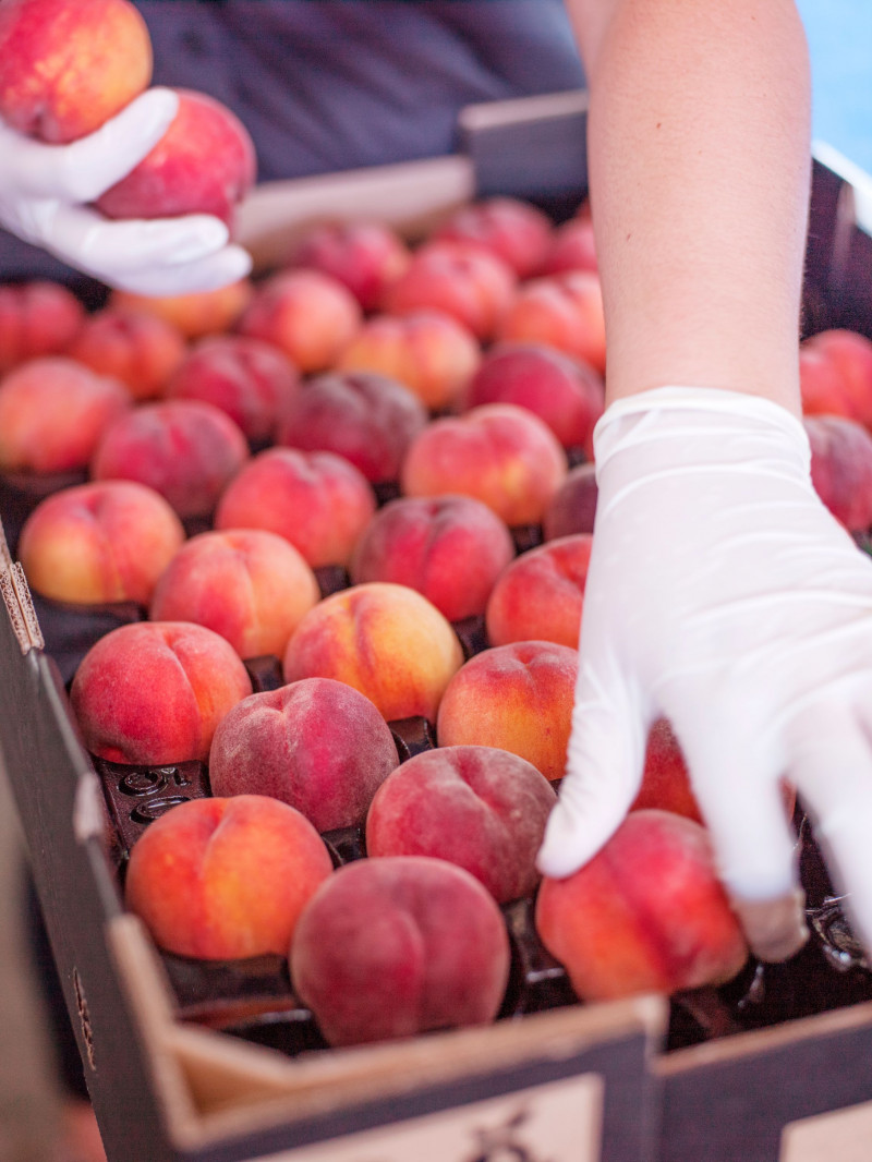 Jackson Orchards - Guided Orchard Tour 23
