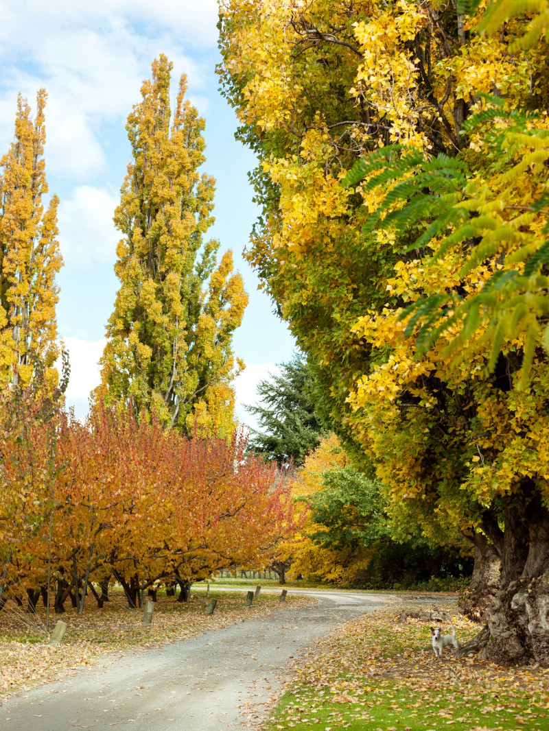Jackson Orchards - Guided Orchard Tour 26