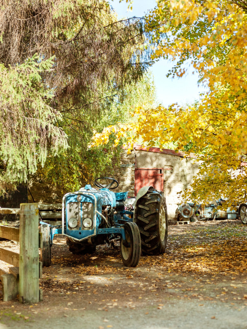 Jackson Orchards - Guided Orchard Tour 28