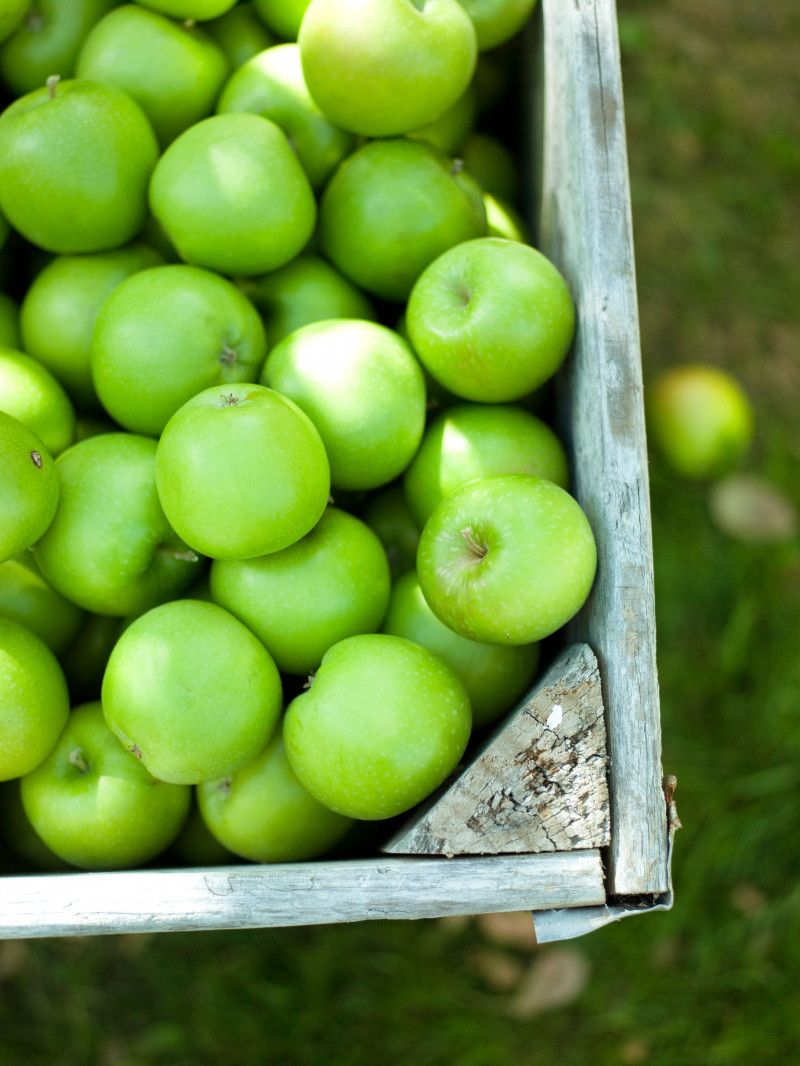 Jackson Orchards - Guided Orchard Tour 29