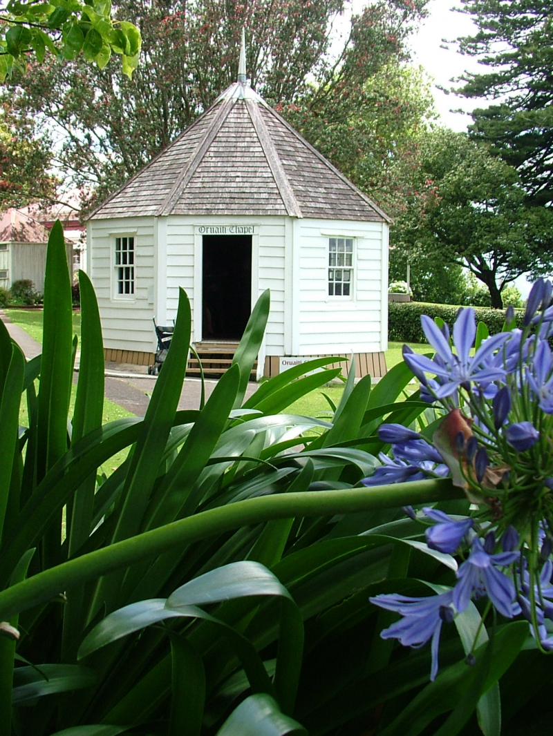 Kiwi North Museum Kiwi House Heritage Park 4