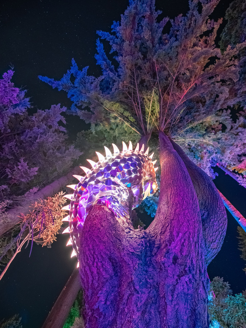 Luma Enchanted 2