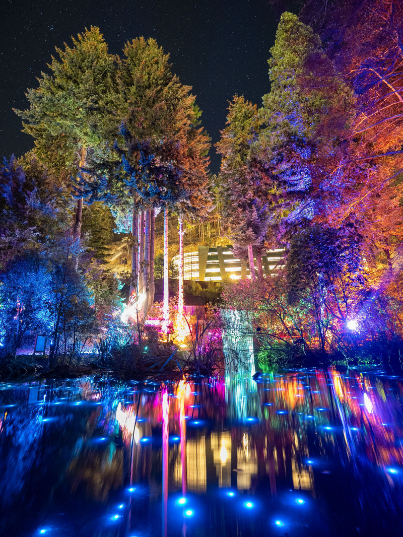 Luma Enchanted 3