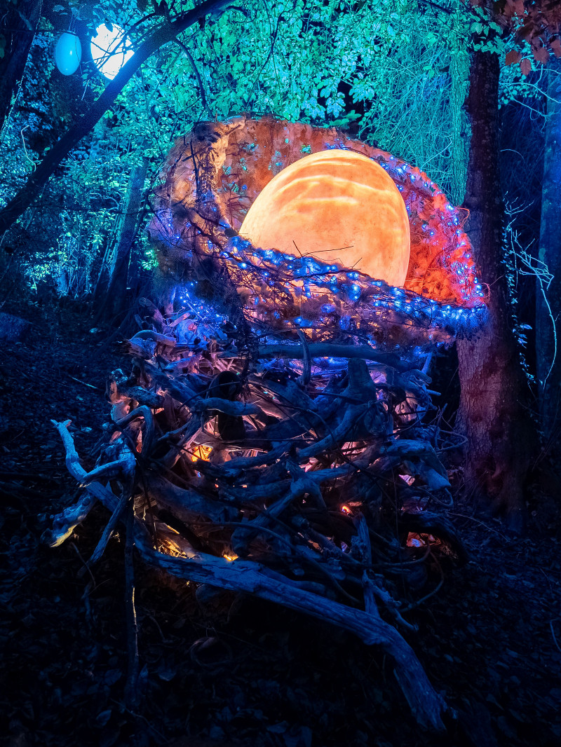 Luma Enchanted 8