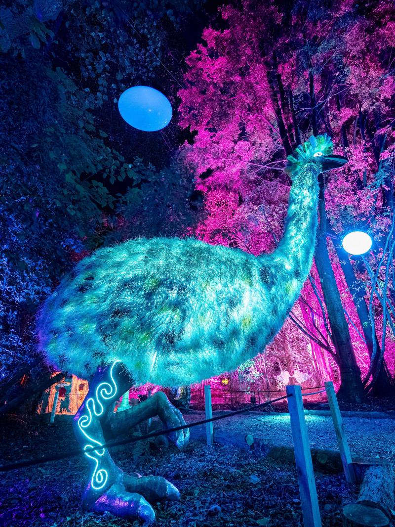 Luma Enchanted 9
