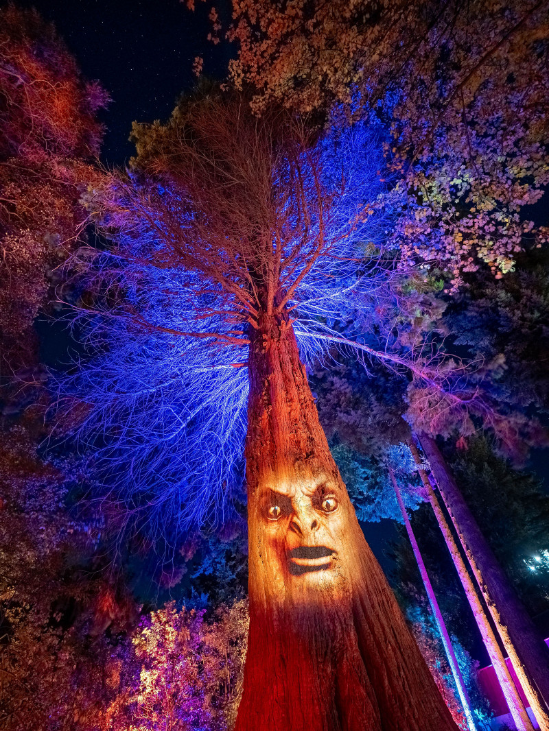 Luma Enchanted 11