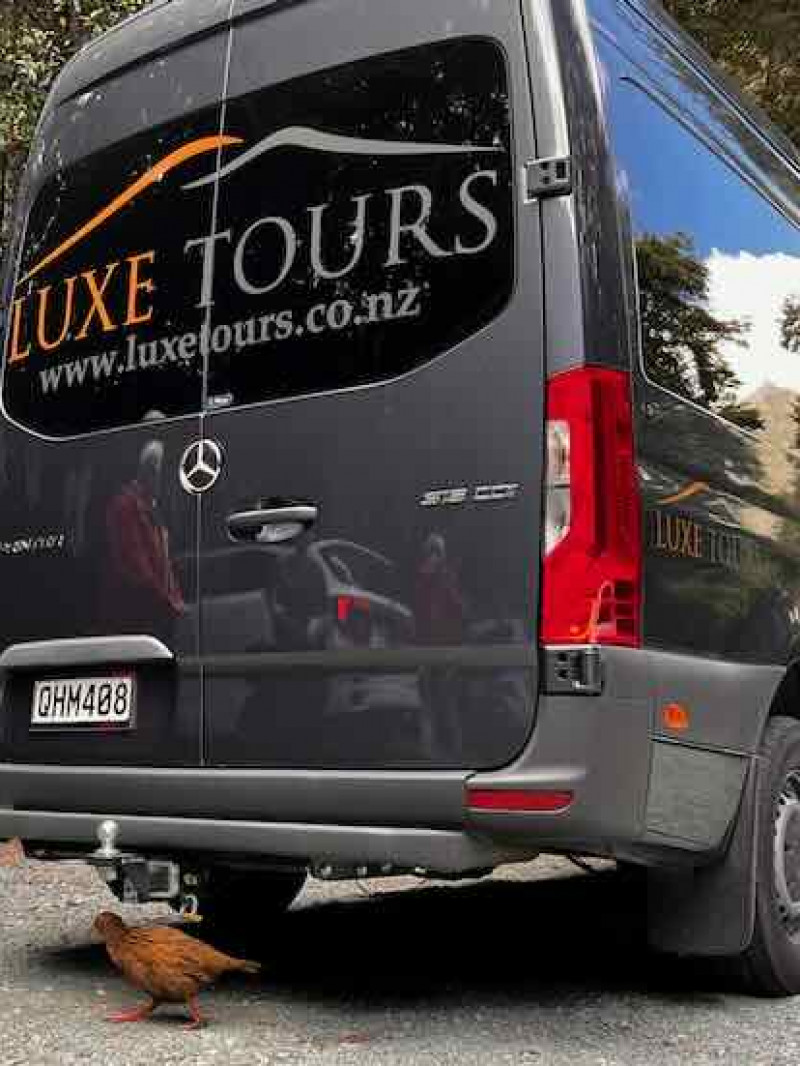 Milford Sound Day Tour from Te Anau 6