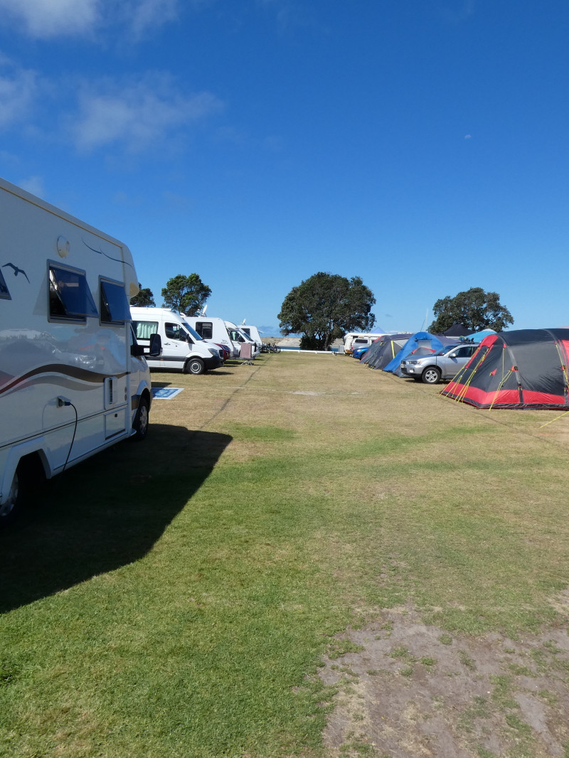 Mangawhai Heads Holiday Park 1