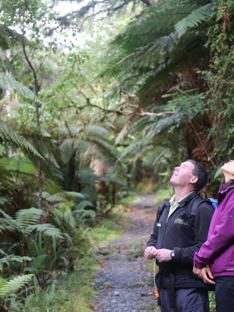 Milford Sound Fly Walk Fly 4