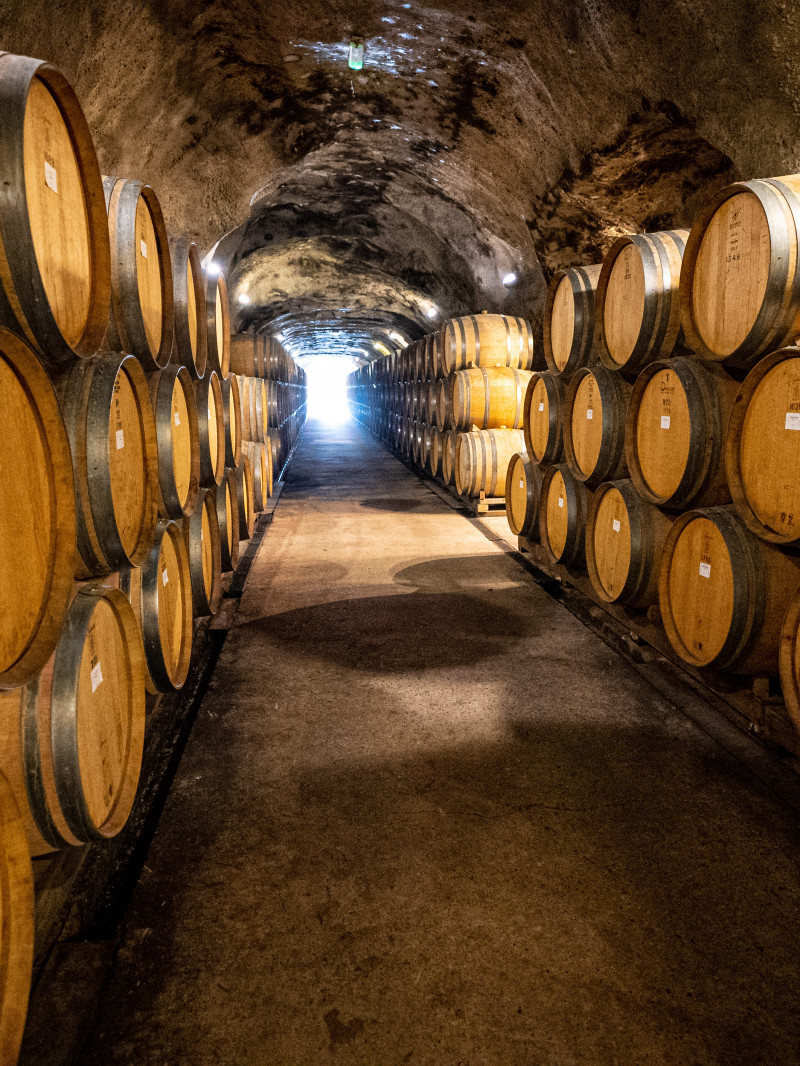 Queenstown Expeditions VIP Drop & Hop Wine Tour 4