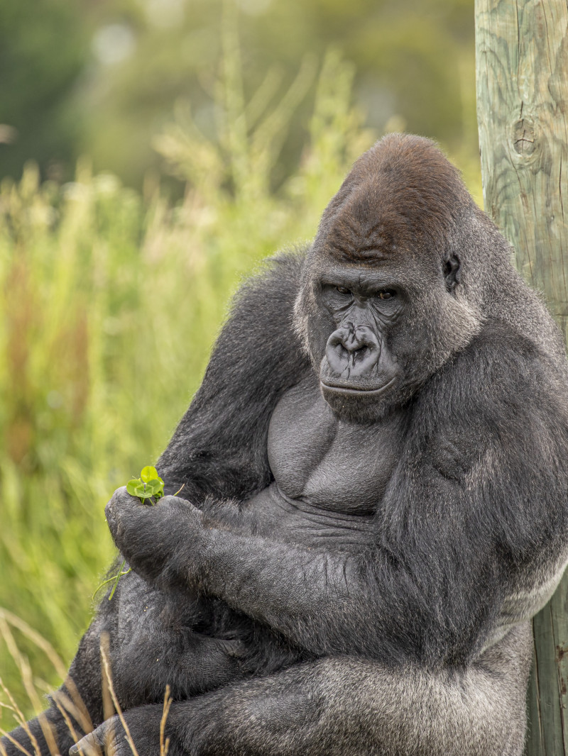 Orana Wildlife Park 3