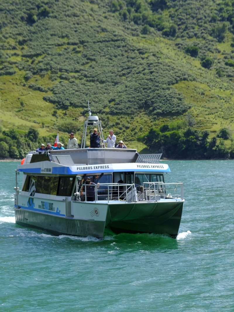 Pelorus Mail Boat 1
