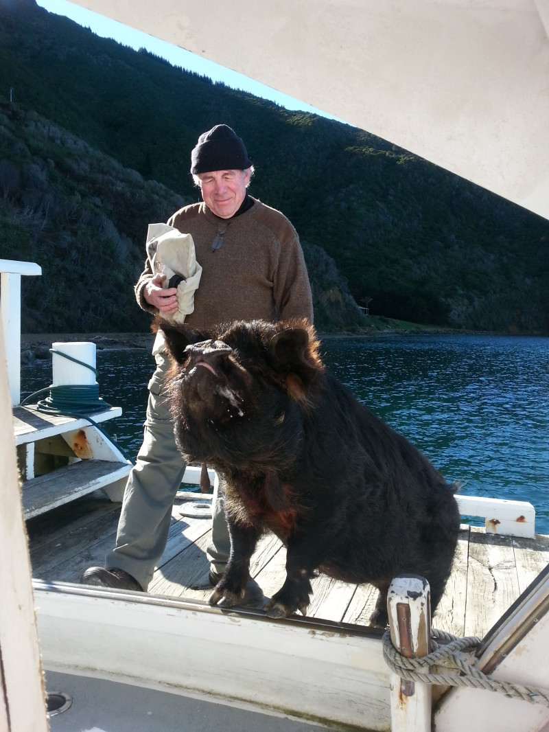 Pelorus Mail Boat 2