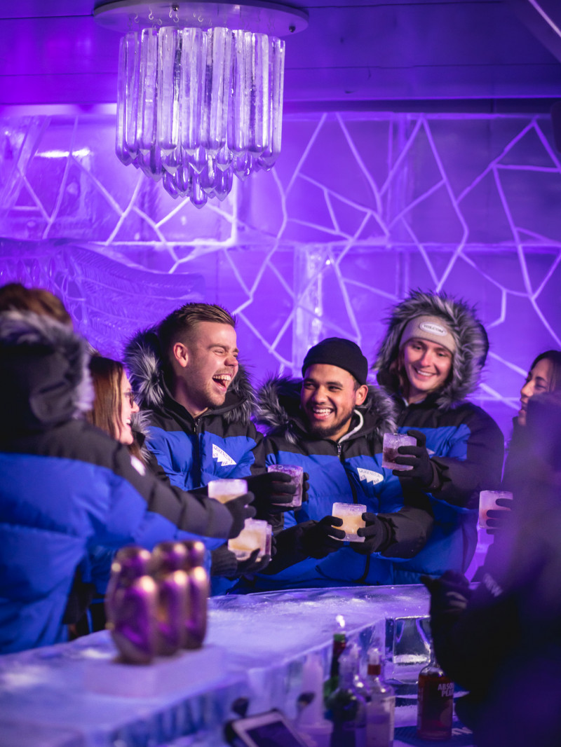 Queenstown Ice Bar 5